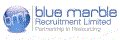 Blue Marble Recruitment Logo